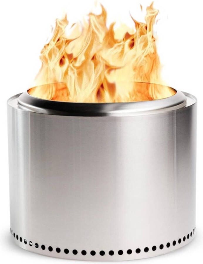 Rookloze Vuurkorf voor Houtverbranding Roestvrijstalen Design-Grijs- vuurschaal -⌀ 49 5 cm x H 35 5 cm