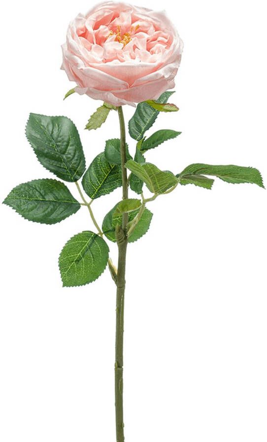 Woonexpress Rose Kunstbloem
