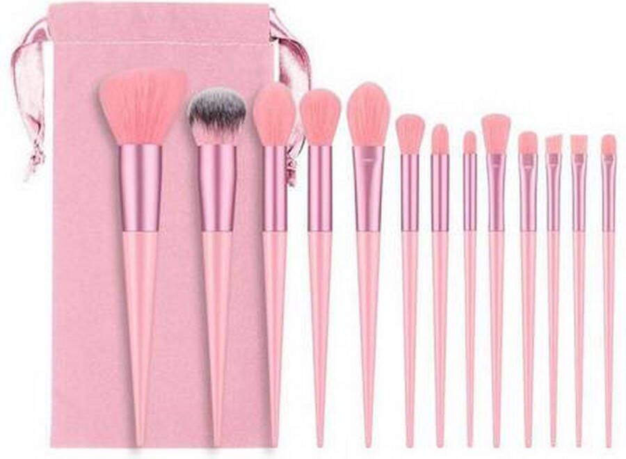 Roze Makeup set -Make up borstels Makeup kwasten Makeup set 13 stuks Blush borstels Poederborstels Oogschaduw borstels Concealer borstels Smudge borstels Lip borstels Wenkbrauw borstels