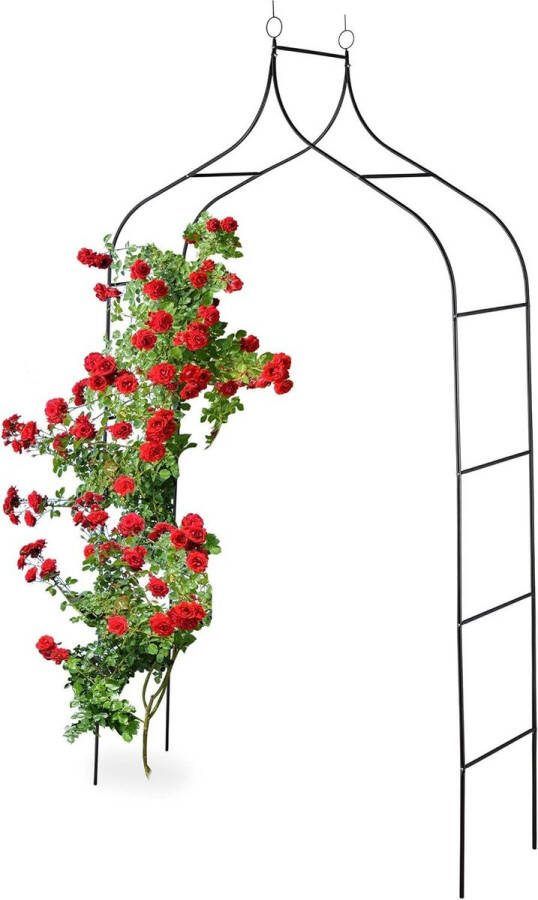 Rozenboog metaal 255x140x38 cm Grote tuinboog voor klimplanten en plantensteun zwart plantensteun halfronde