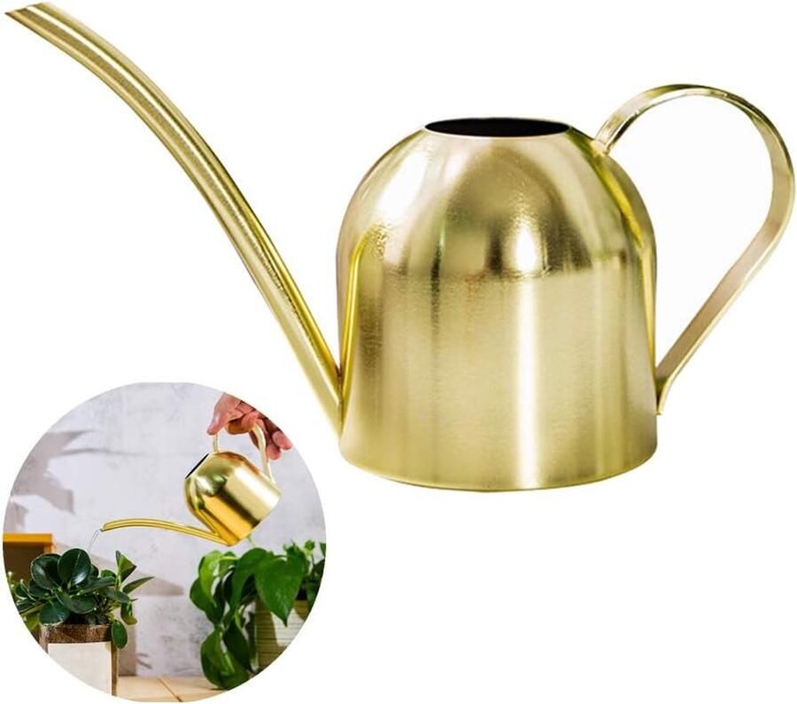 RVS gieter kleine lange mond gieter voor thuis binnen buiten tuin vetplanten 500ml (goud)