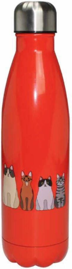 RVS thermosfles oranje katten kat 500 ml waterfles drinkfles sport