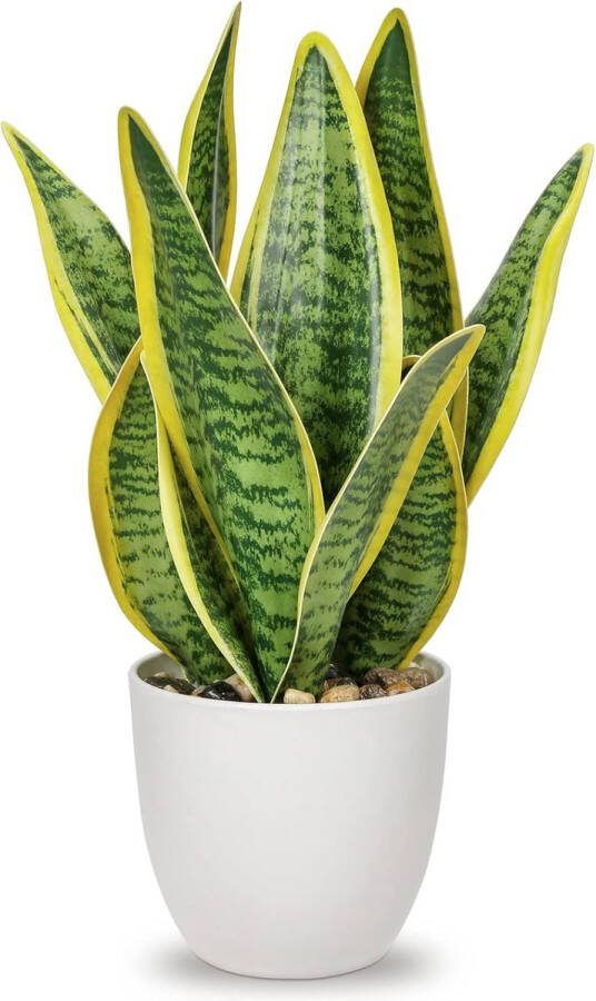Sansevieria Kunstplant in keramische pot kleine kamerplant kunstmatige slangenplant kunstplanten als echt perfect voor badkamer slaapkamer thuis kantoor decoratie hoogte 33 cm