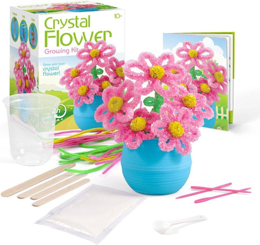 Scheikunde experimenteerset wetenschap speelgoed experimenteren experimenten voor kinderen experimenteerdozen kristalen kweken crystal growing T2573G