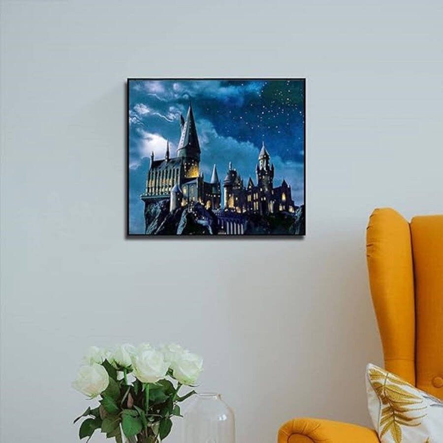 Schilderen op nummer Acrylpigmenttekening Schilderwerk 40 x 50cm