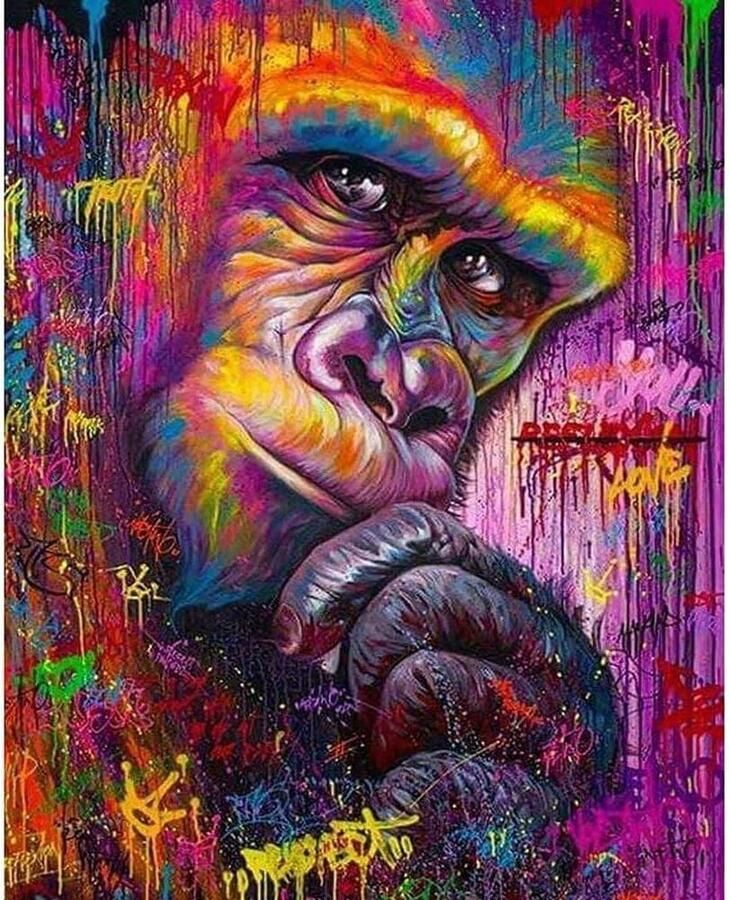 Schilderen op nummer Acrylpigmenttekening Schilderwerk