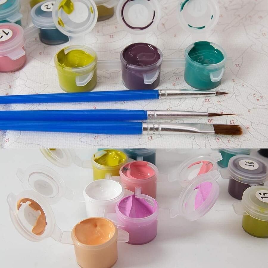 Schilderen op nummer Acrylpigmenttekening Schilderwerk