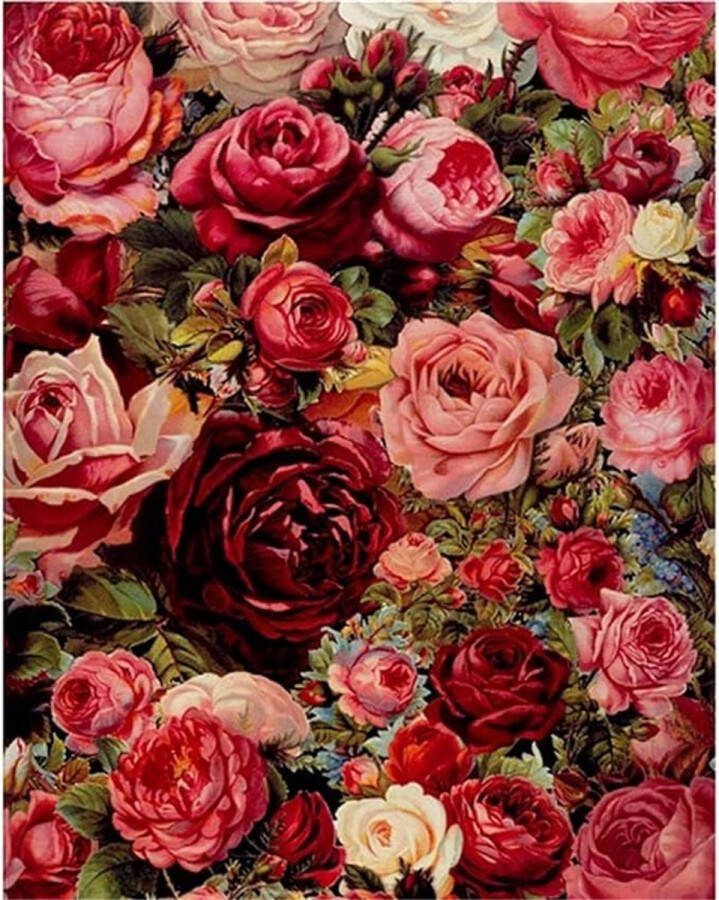 Schilderen op nummer voor volwassenen doe-het-zelf handgeschilderde olieverfset voor beginners en volwassenen 40x50 cm