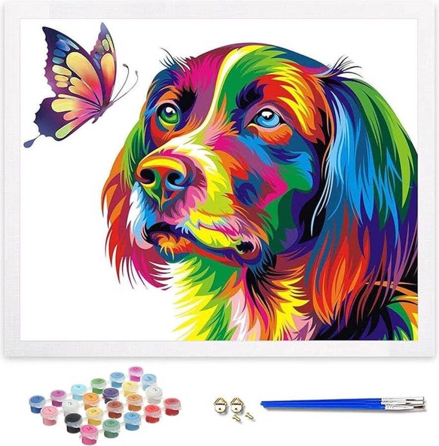 Schilderen op nummer voor volwassenen doe-het-zelf handgeschilderde olieverfset voor beginners en volwassenen 40 x 50cm