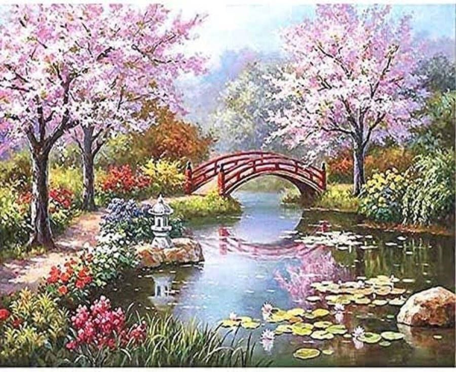 Schilderen op nummer voor volwassenen doe-het-zelf handgeschilderde olieverfset voor beginners en volwassenen 40x50cm