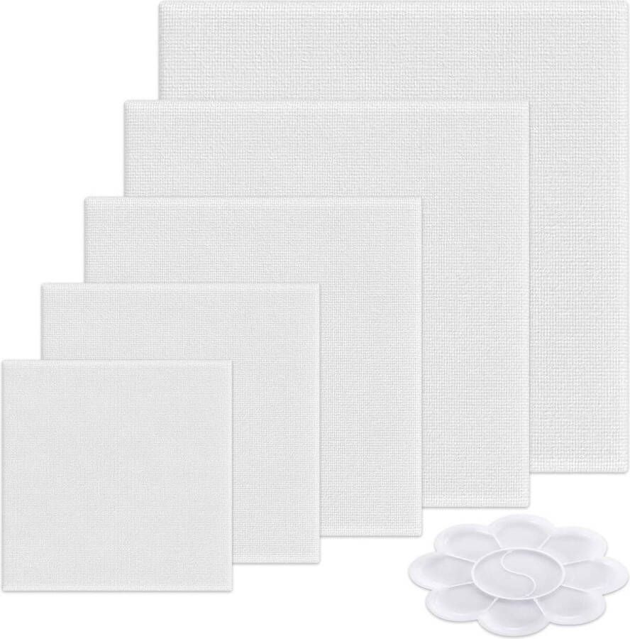 Schildersdoeken Set Voorgespannen 6 Stuks Kwaliteitscanvas voor Olieverf en Acryl Klein Canvasdoek Frame Verscheidenheid schildersdoek groot