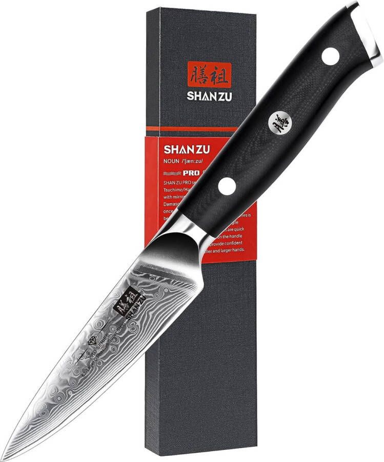 Schilmesje Fruitmes 67-laags Damascus-stalen mes 4 inch met G10-handvat