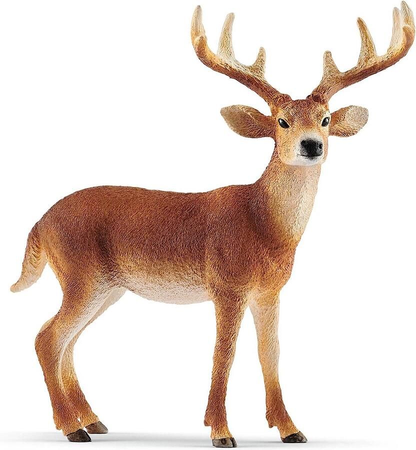 Schleich Wild Life Witstaarthert Speelfiguur voor Kinderen 3+