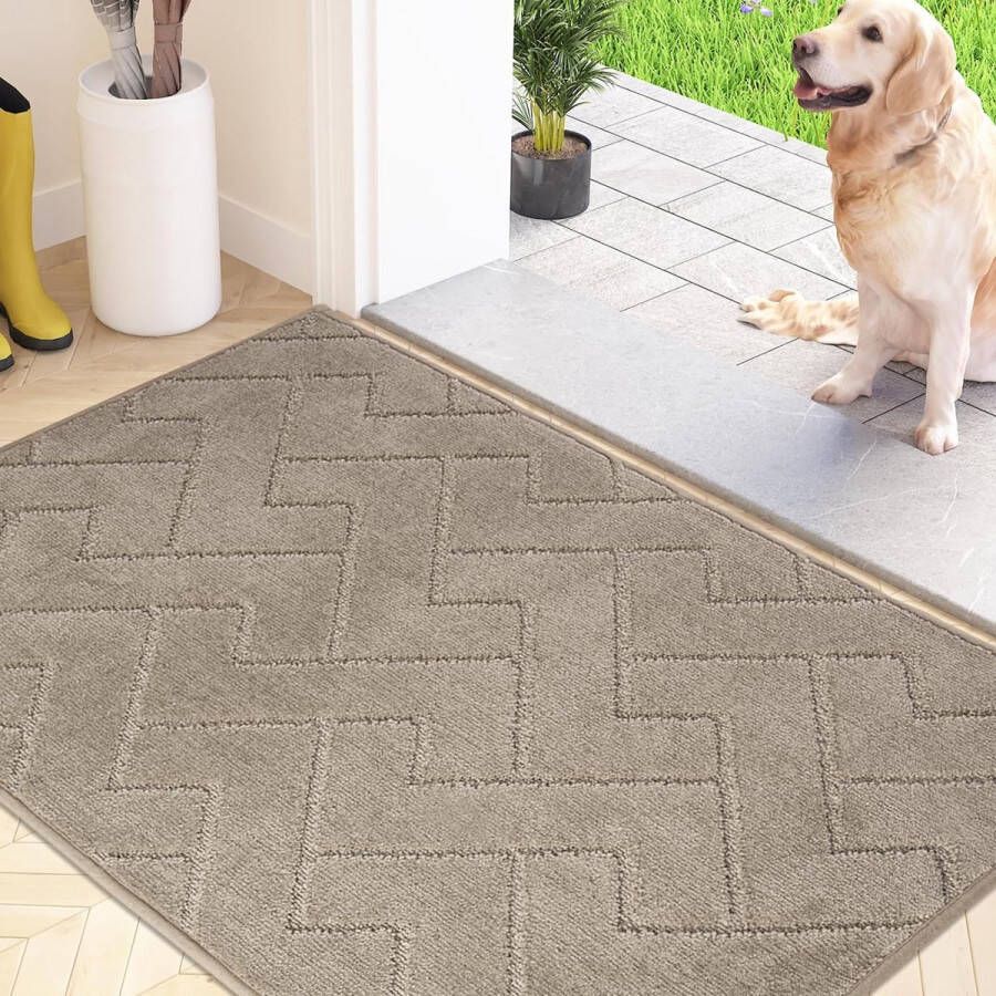 Schoonloopmat voor binnen 50 x 80 cm antislip vloermat wasbaar vuilvangmat absorberende deurmat tapijt voor hond ingang huisdeur en hal