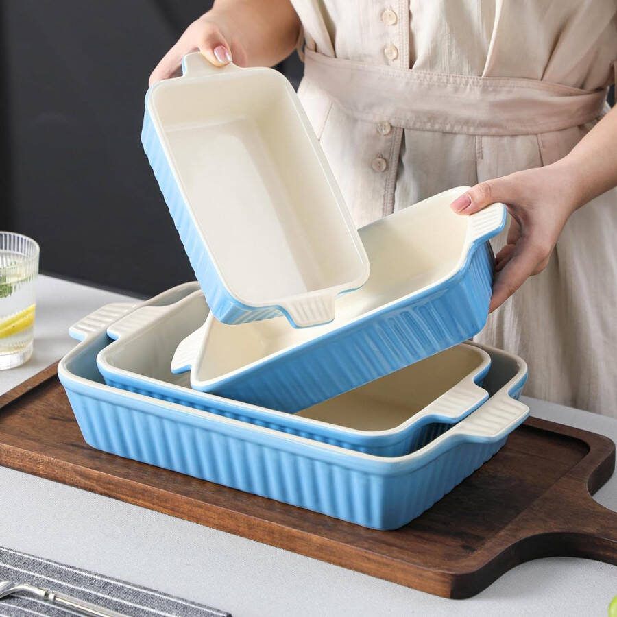 Series Bake.Bake set van 4 Porseleinen bakvorm Taartpan Broodpan Bakkommen Braadpan Schotel Ovenpanplaat Soepplaat in 4 maten blauw