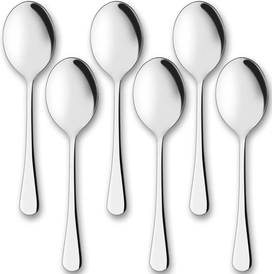 Serveerlepel Set roestvrij staal lepel soeplepel rijstlepel eetlepel tafellepel voor groot buffet banket bestek keuken restaurant serveerbestek zilveren lepel 6 stuks 25 cm