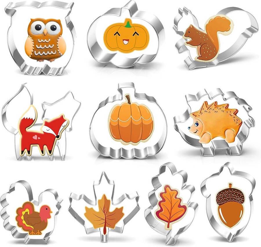 Set uitsteekvormpjes voor de herfst oogstfeest roestvrij staal pompoen fondant koekjessnijder voor kinderen Thanksgiving pompoen esdoornblad eekhoorns (10 stuks)