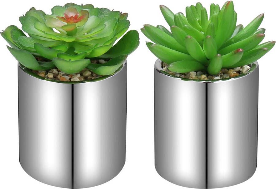 Set van 2 kunstplanten vetplant kunstmatige kamerplant decoratieve plastic planten in keramische pot decoratie voor badkamer woonkamer tafel huis balkon kantoor