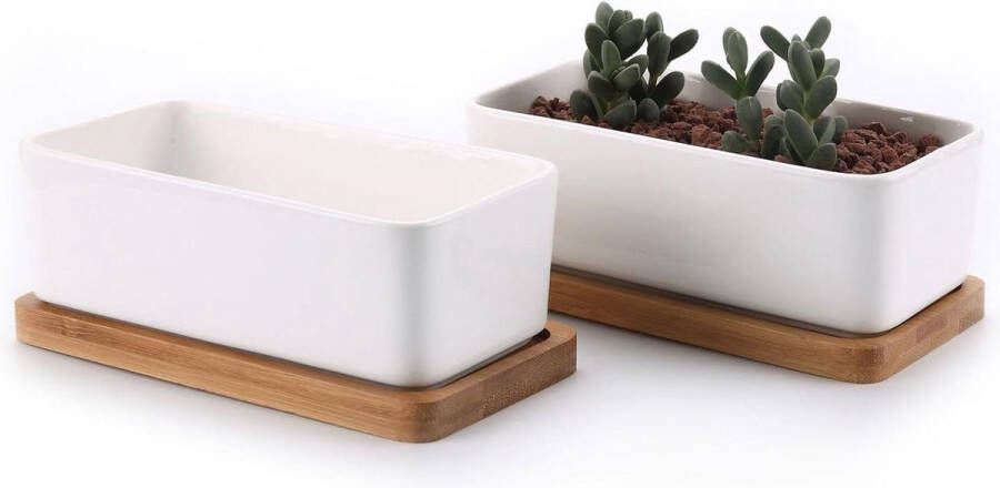Set van 2 Rechthoek Keramiek Succulente Plantenpot 165CM Met Bamboe Onderzetter Binnen Klein Cactus Pot met Afvoergat Wit Voor Sappige Aloë Kruid Decoratieve Geschenk Flower Pot