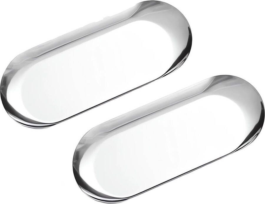 Set van 2 roestvrijstalen dinerborden pastadessertborden saladeborden decoratieve borden ovaal dienblad (2 stuks zilver 18x8 5 cm)
