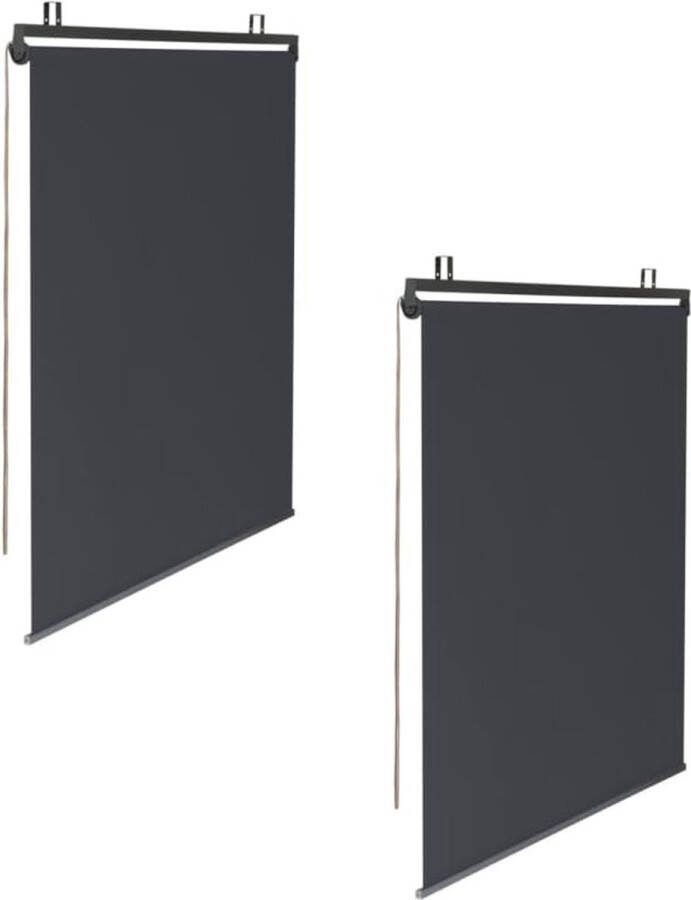 Set van 2 rolgordijnen L 125 x H 225 cm voor pergola Grijs Antraciet