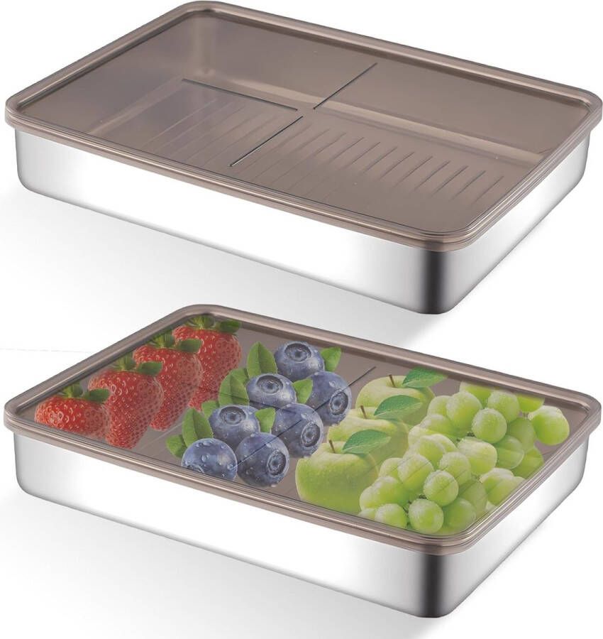 Set van 2 RVS Vershoudbakjes met Deksel Herbruikbare Voedselcontainers voor Koelkast (19 5 x 14 x 4 cm)
