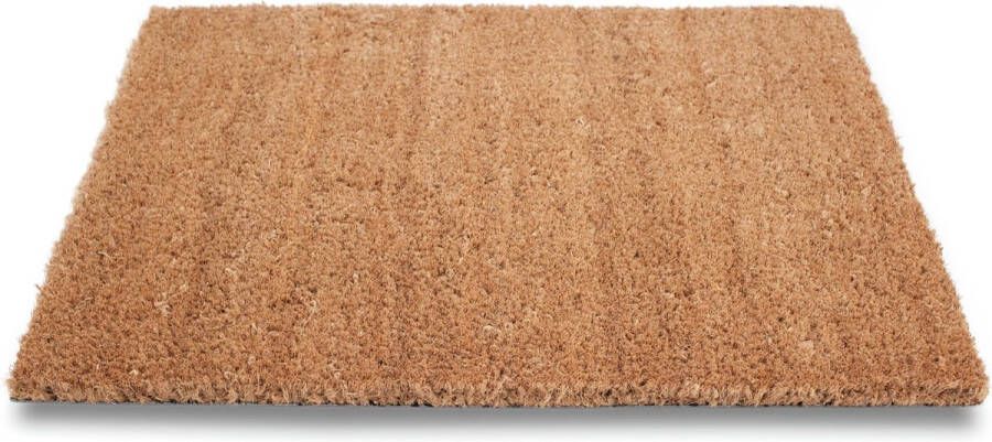 Set van 2x stuks bruine deurmatten buitenmatten pvc kokos 40 x 60 cm droogloopmatten vloermatten