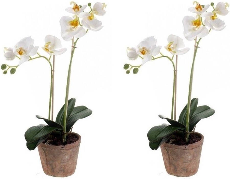 Merkloos Sans marque Set van 2x stuks kunstplanten Orchidee wit 42 cm in pot Decoratie planten voor thuis of op kantoor