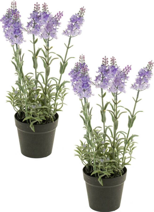 Merkloos Sans marque Set van 2x stuks lila paarse lavendel kunstplanten in kunststof pot 28 cm Lavandula Woondecoratie accessoires Kunstplanten Nepplanten Lavendel planten in pot