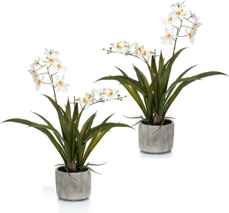 Merkloos Sans marque Set van 2x stuks witte orchidee kunstplanten in keramische pot 45 cm Orchidaceae Woondecoratie accessoires Kunstplanten Nepplanten Orchidee planten in pot