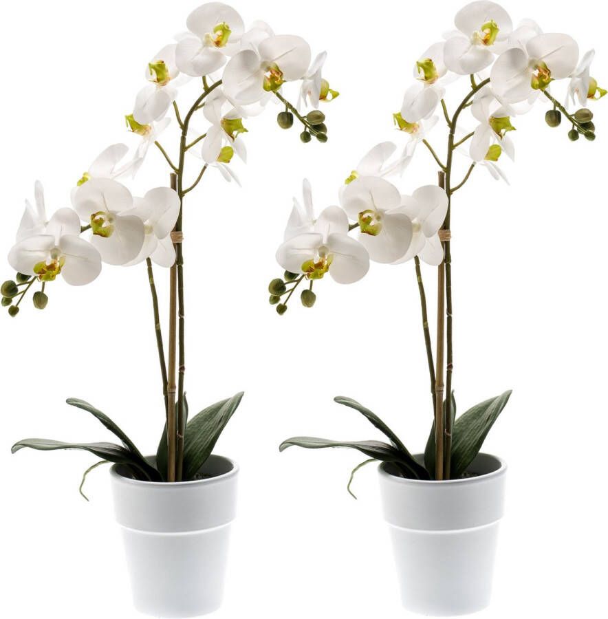 Merkloos Sans marque Set van 2x stuks witte orchidee kunstplanten in kunststof pot 65 cm Orchidaceae Woondecoratie accessoires Kunstplanten Nepplanten Orchidee planten in pot