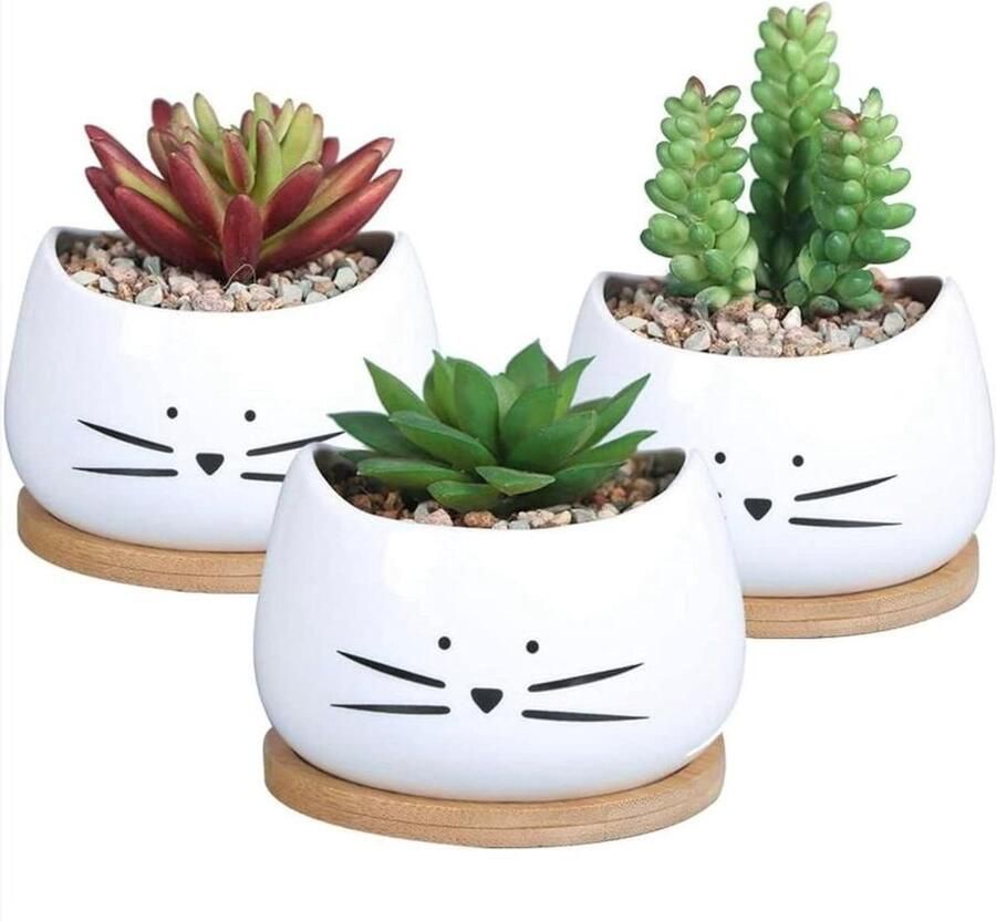 Set Van 3 Kleine Bloempotten Voor Vetplanten En Cactussen Inclusief 3 Houten Schalen Geschikt Voor Kantoor Collega's En Vensterbank Binnen En Buiten
