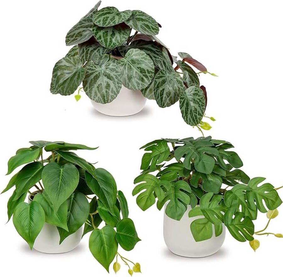 Set van 3 kunstplanten hangende decoratieve planten in keramische pot mini-kunstplant Monstera en Philodendron decoratie modern voor thuis kantoor badkamer keuken en interieurdecoratie
