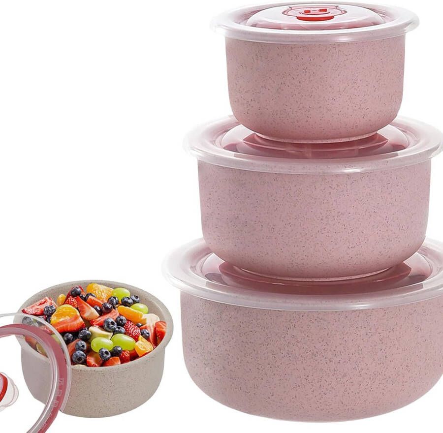 Set van 3 Magnetron Servies met Deksel: Magnetron Voedselcontainers 260 480 900 ml Magnetron Multi Bowl Lunchbox voor Vaatwasser Magnetron Oven Koelkast