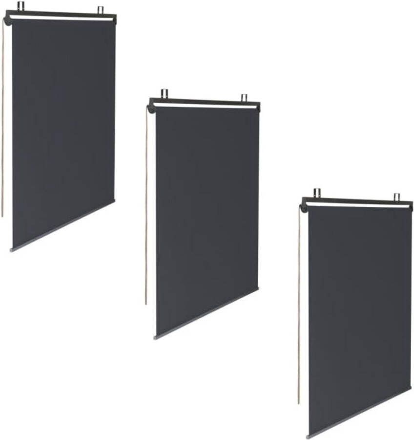 Set van 3 rolgordijnen L 125 x H 225 cm voor pergola Grijs Antraciet