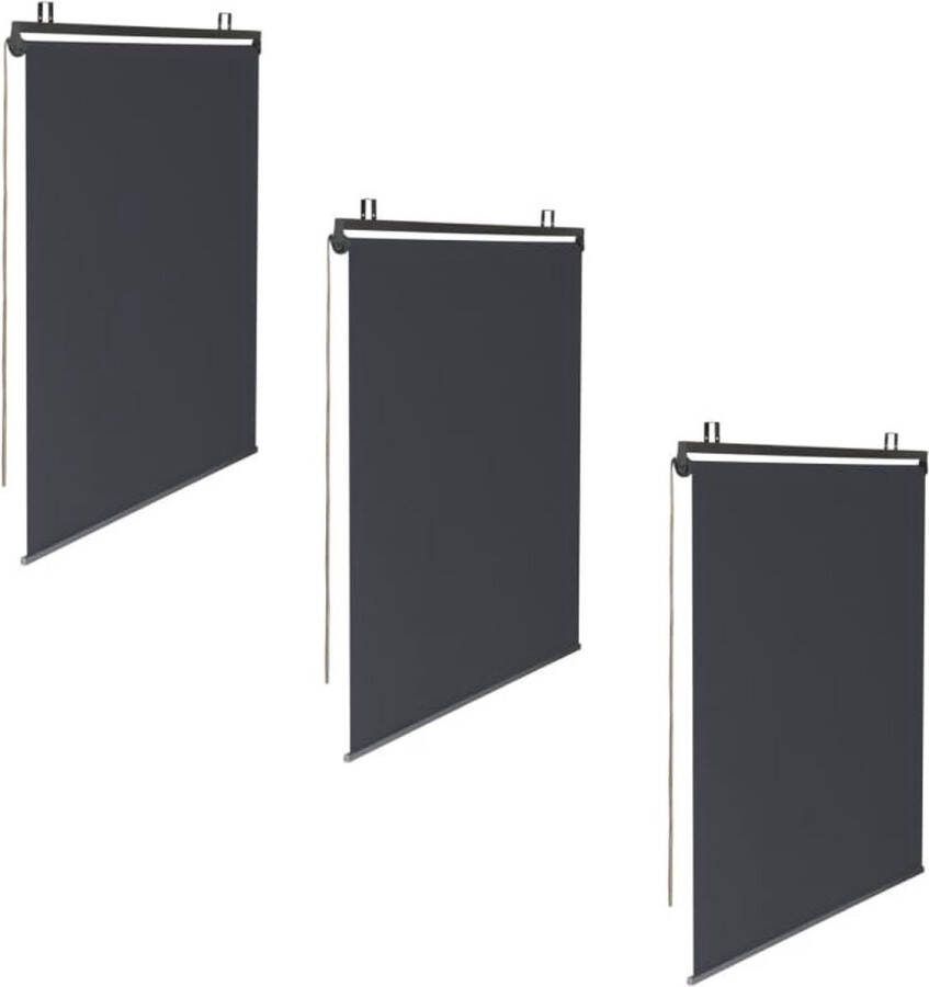 Set van 3 rolgordijnen L 125 x H 225 cm voor pergola Grijs Antraciet