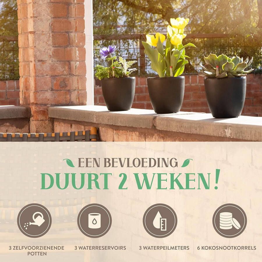 Set van 3 Zelf-irrigerende Bloempotten Zwart Met Waterindicatormeters en 6 Coco Pellet D18 x H17 5 cm Perfect voor Alle Planten