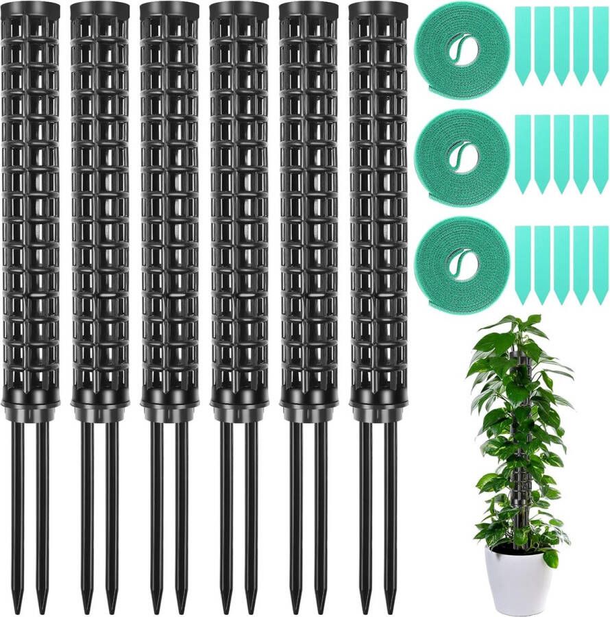 Set van 6 mosstokjes Monstera plantenstok mospaal Monstera voor Monstera planten Ivy met plantenlabels en draaibandjes