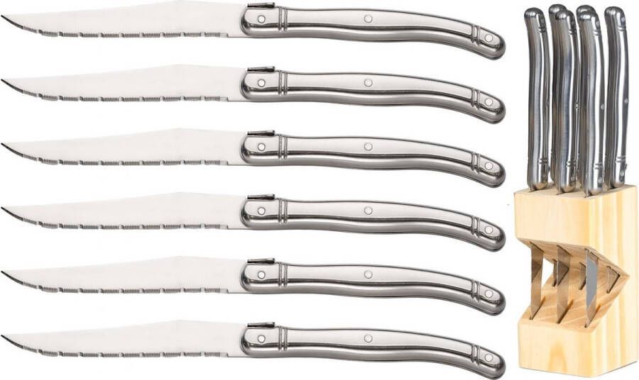 Set van 6 steakmessen RVS