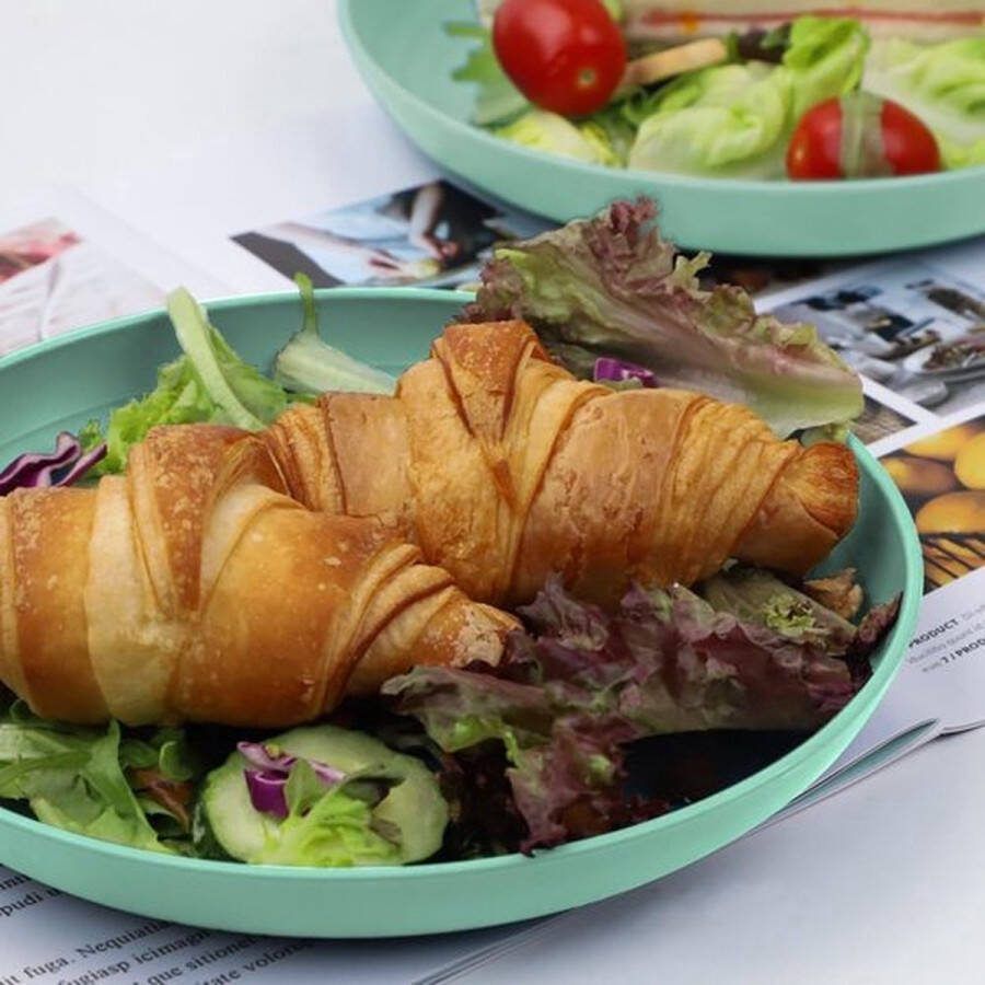 Set van 8 kunststof borden 20 cm campingservies magnetron- en vaatwasmachinebestendig lichtgewicht herbruikbaar saladeborden voor pizza salade pasta