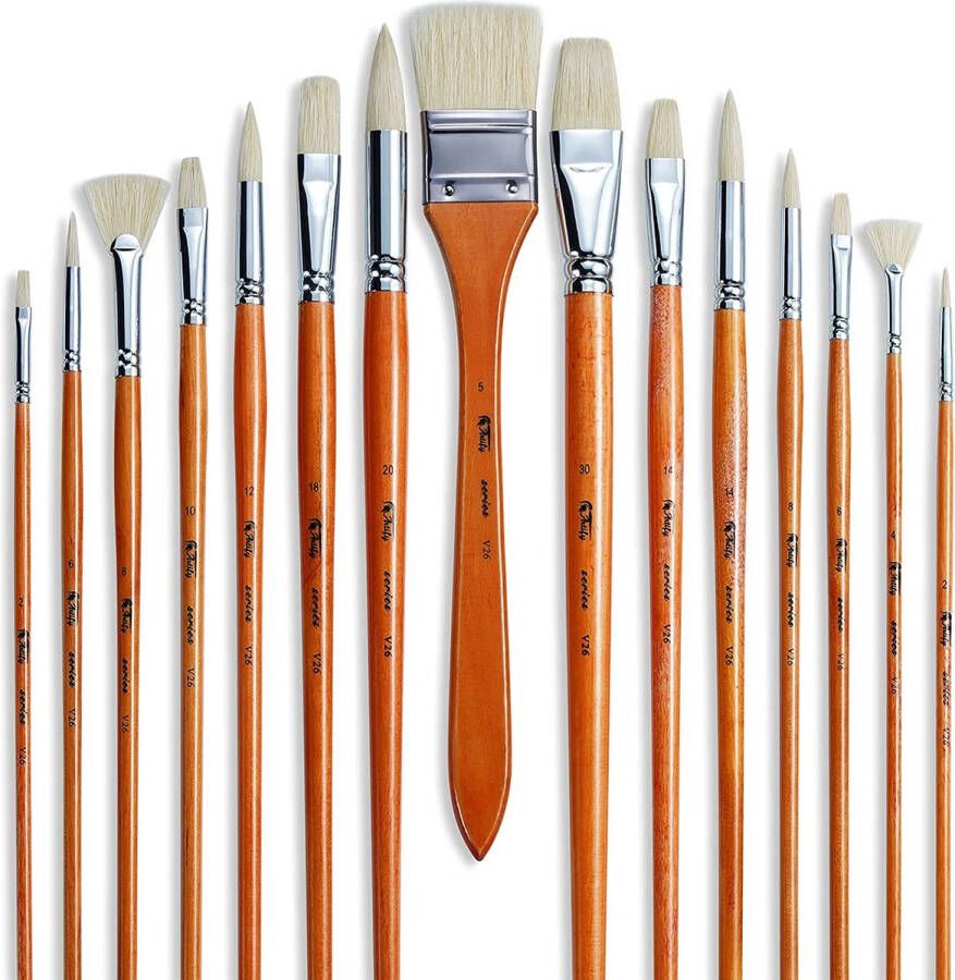 Set van Penselen Kwasten Verven – Schilderen Painting Brush Set Schilderen verf kwasten