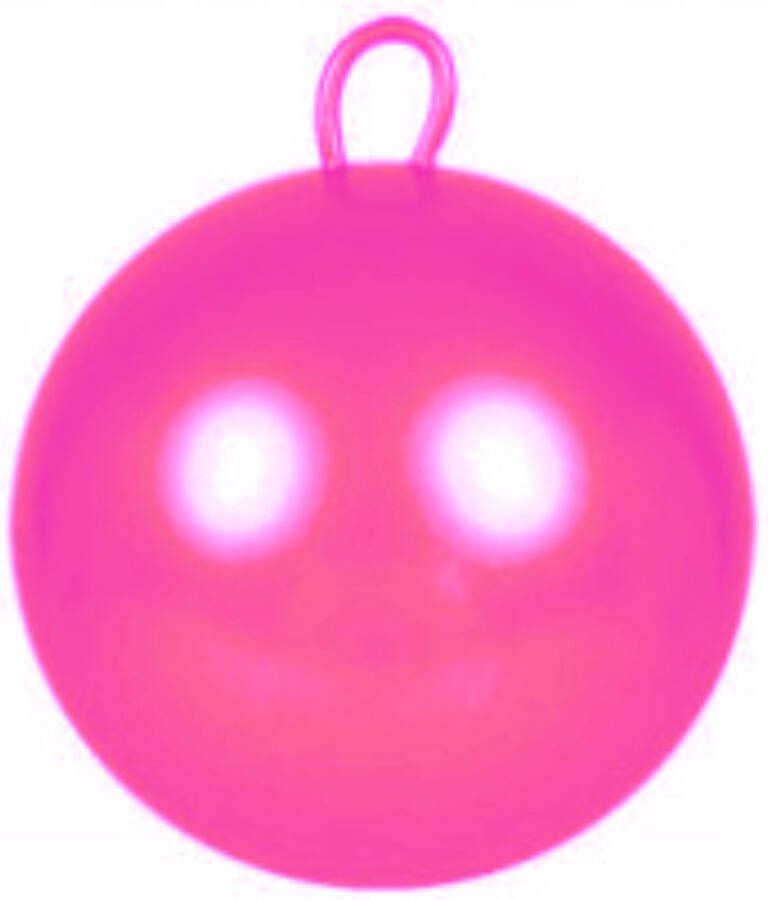 Skippybal roze 60 cm voor kinderen Skippyballen buitenspeelgoed voor jongens meisjes Sport en spel