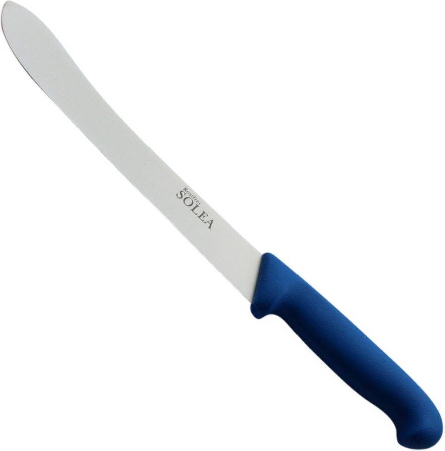 Slagersmes 22.5 cm Roestvrijstaal Blauw Kunststof Heft