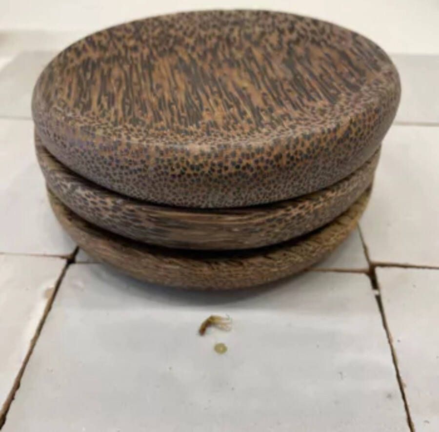 Sloef Stationary Amberblokjes kokoshout schaaltje 2 stuks