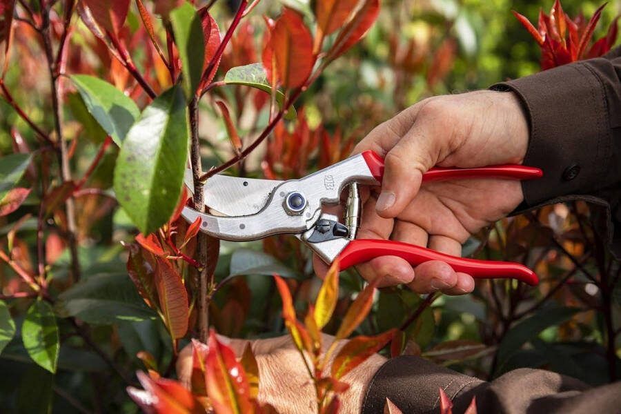 Snoeischaar FELCO 4 ø 25 mm Grote Handen 210 mm lengte Sapgroeve garden saw hand