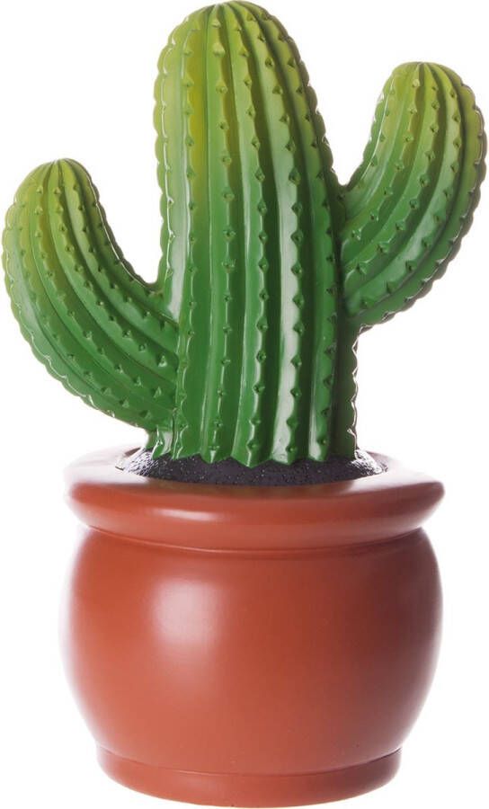 Spaarpot cactus decoratie themafeest bedankje weggeefgeschenk