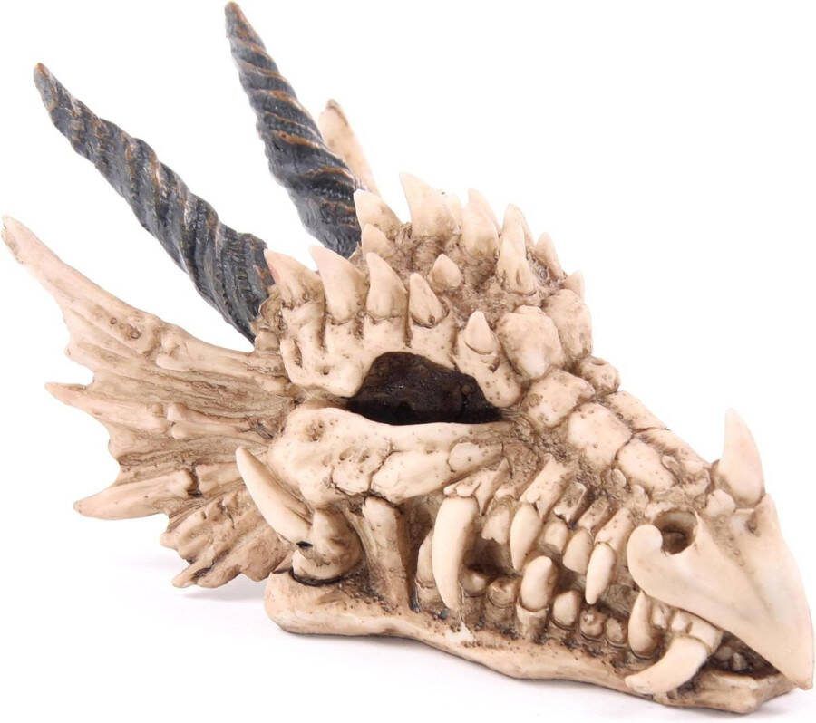 Spaarpot drakenschädel 19 x 11 x 11 cm gemengd L Grootte: L