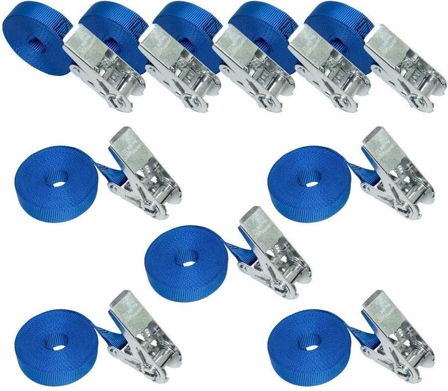 6 meter lange spanbanden 25 mm breed draagvermogen 800 kg blauw DIN EN 12195-2 gecertificeerd set van 10