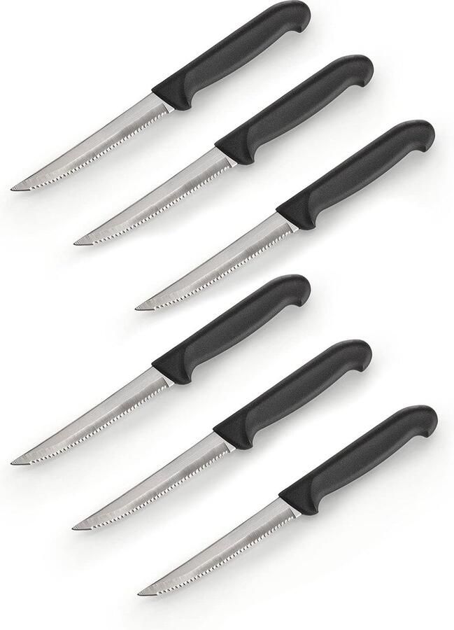 Steakmes set van 6 groentemes broodmes keukenmes ergonomisch handvat 22 cm lengte roestvrij staal
