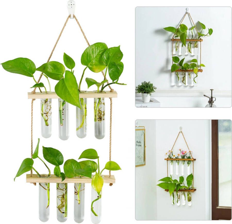 Stekstation hangplant voor binnen en buiten – plantenhanger reageerbuisjes glas stekjes houder – kleine mini vaasjes – wandvaas muurvaas decoratie